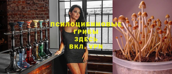 2c-b Абинск