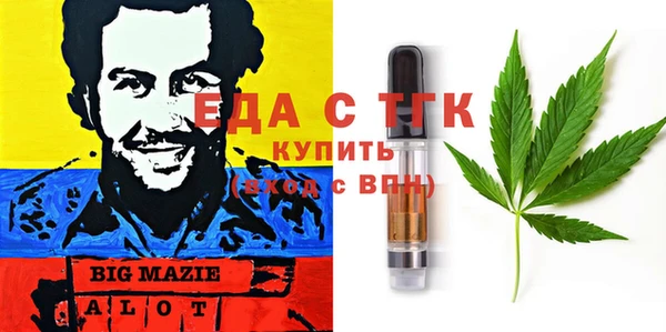 гидра Елабуга