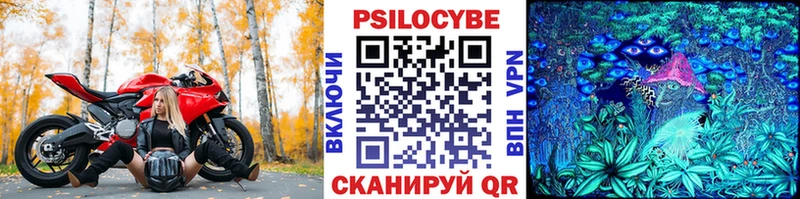 Галлюциногенные грибы MAGIC MUSHROOMS Шилка