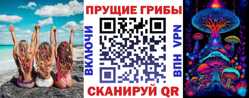 Псилоцибиновые грибы Psilocybe  Шилка 